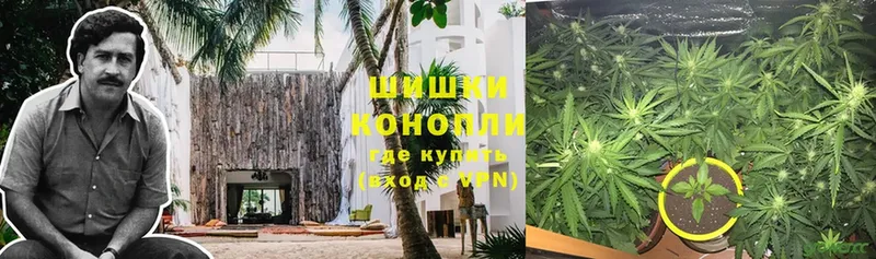 купить наркотики сайты  Краснозаводск  blacksprut вход  Бошки марихуана ГИДРОПОН 